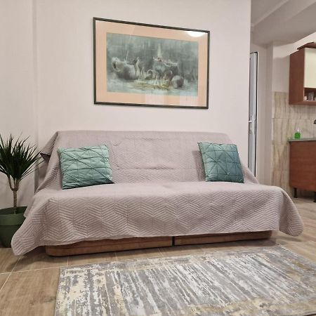 Laroka House Beautiful Apartment Universitate Center บูคาเรสต์ ภายนอก รูปภาพ